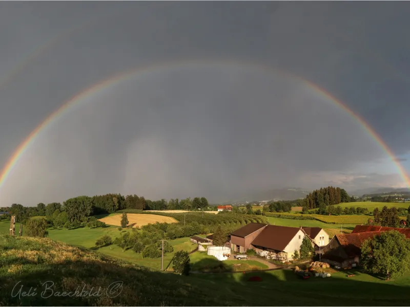 dottenwiler regenbogen2