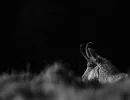 2019 04 27 13