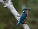 dsc01024