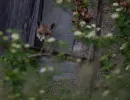 dsc01746