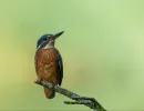 dsc09850