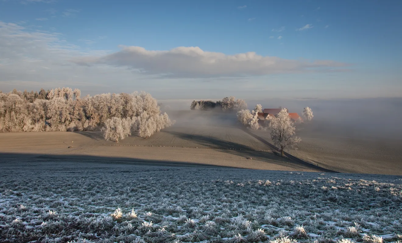 20131214 dottenwilernebel