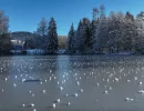 bildschirmfoto024 129 um 00.34.22