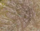 dji 20250213203551 d