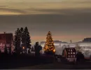 tannenbaum